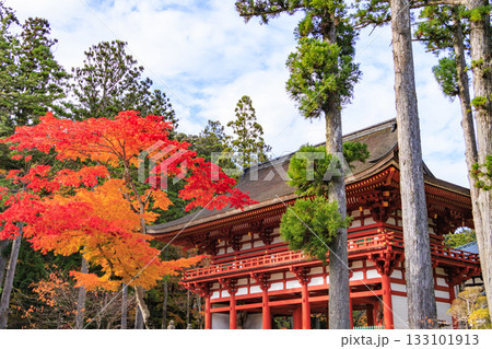 紅葉真っ盛りの高野山 紅葉真っ盛りの高野山 133101913