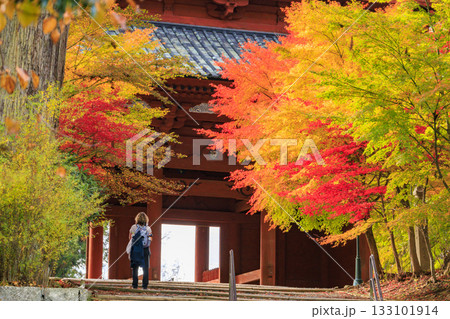 紅葉真っ盛りの高野山 133101914