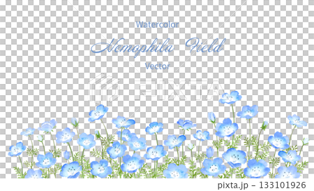 Nemophila field painted in watercolor Nemophila field painted in watercolor 133101926