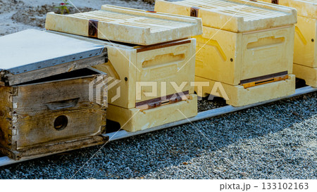 A beekeeper's gloved hands prepare to open a new package of bees to add to the hive. Bee hives, bees adding honey. 133102163
