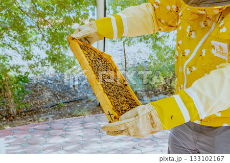 A beekeeper's gloved hands prepare to open a new package of bees to add to the hive. Bee hives, bees adding honey. 133102167