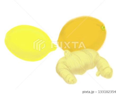 レモンとショウガのイラスト 133102354