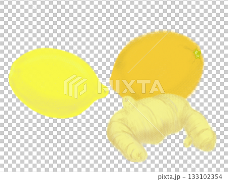 レモンとショウガのイラスト 133102354