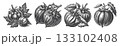 Vintage Hand-Drawn Tomatillo Illustration,  133102408