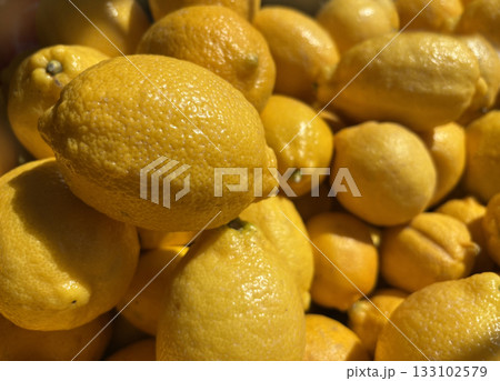 Lemon background pile, many yellow fruits texture in sunlight. Lemonade fruit pattern Lemon background pile, many yellow fruits texture in sunlight. Lemonade fruit pattern 133102579