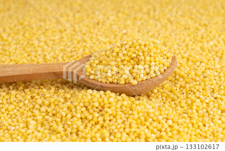 Raw millet grains pile with wood spoon closeup. Little yellow cereal, natural foxtail small seeds 133102617