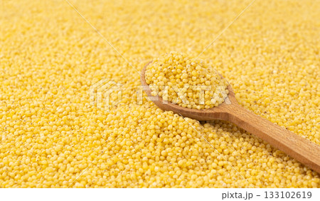 Raw millet grains pile with wood spoon closeup. Little yellow cereal, natural foxtail small seeds Raw millet grains pile with wood spoon closeup. Little yellow cereal, natural foxtail small seeds 133102619