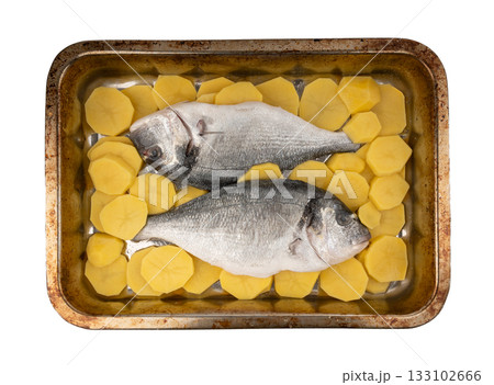 Dorado fish on a baking sheet with potatoes. Whole raw seabream, gilt-head bream, dorada Dorado fish on a baking sheet with potatoes. Whole raw seabream, gilt-head bream, dorada 133102666