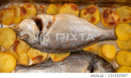 Dorado fish on a baking sheet with potatoes. Whole roasted seabream, gilt-head bream Dorado fish on a baking sheet with potatoes. Whole roasted seabream, gilt-head bream 133102667