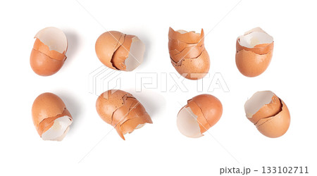 Broken Egg Shell, Crushed Eggshell, Calcium Supplement, Cracked Eggshells, Compost Ingredient 133102711