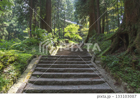 Daiyuzan Saijoji, Minamiashigara, Kanagawa, Japan Stone steps leading through forest path to traditional building in nature 133103087