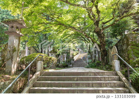 Daiyuzan Saijoji, Minamiashigara, Kanagawa, Japan , Stone steps leading through green forest to traditional Japanese shrine entrance Daiyuzan Saijoji, Minamiashigara, Kanagawa, Japan , Stone steps leading through green forest to traditional Japanese shrine entrance 133103099