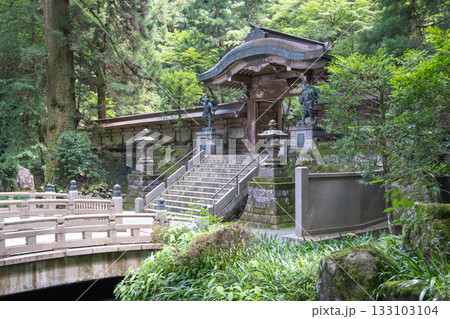 Daiyuzan Saijoji, Minamiashigara, Kanagawa, Japan, Traditional Japanese temple entrance surrounded by forest and stone lanterns 133103104