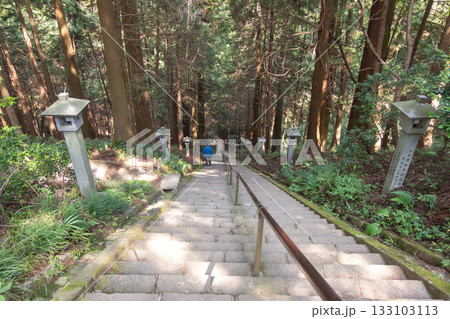Daiyuzan Saijoji, Minamiashigara, Kanagawa, Japan , Person walking down stone steps in forest with traditional lanterns along path 133103113
