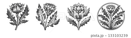 Vintage Hand-Drawn Scottish Thistle Illustration,  133103239