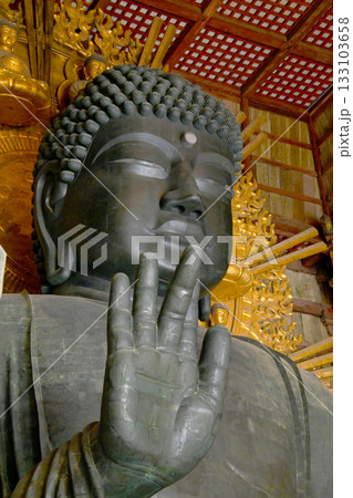 東大寺 奈良の大仏 東大寺 奈良の大仏 133103658