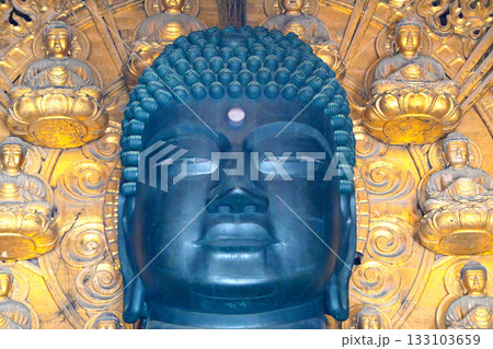 東大寺　奈良の大仏様の顔 133103659