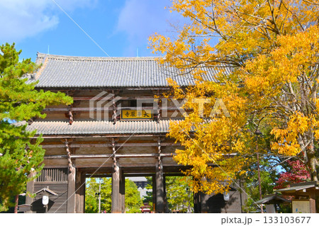 秋の紅葉に彩られた東大寺南大門 秋の紅葉に彩られた東大寺南大門 133103677