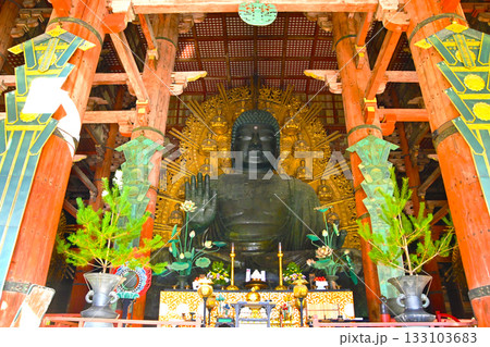 東大寺 奈良の大仏 東大寺 奈良の大仏 133103683