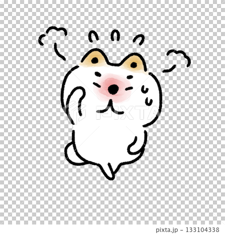 A white Shiba Inu that can't stop feeling embarrassed when he remembers A white Shiba Inu that can't stop feeling embarrassed when he remembers 133104338