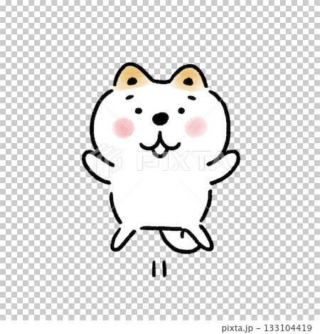 一隻白色的柴犬歡呼雀躍 133104419