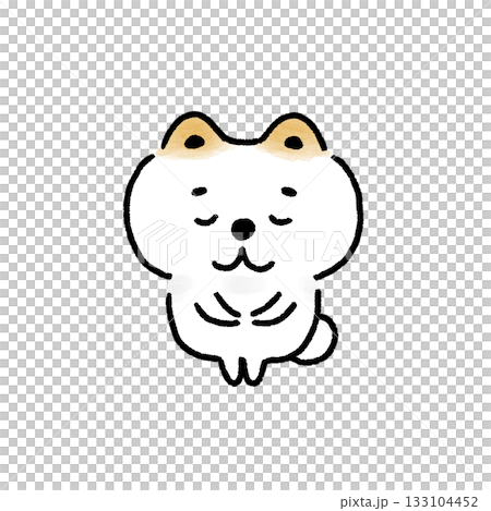 おじぎをする白い柴犬 133104452