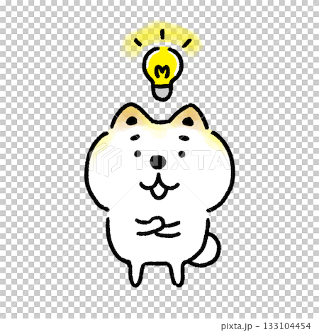 一隻閃閃發光的柴犬 一隻閃閃發光的柴犬 133104454