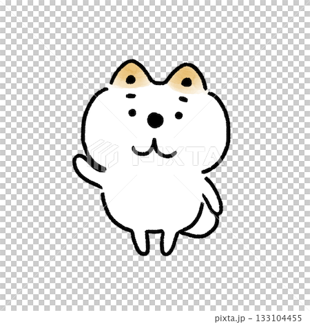 A white Shiba Inu greeting with one hand raised 133104455