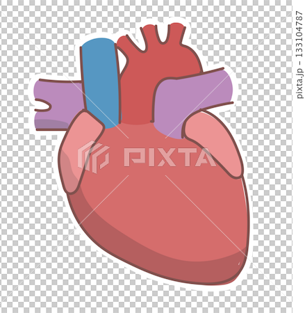Simple heart illustration Simple heart illustration 133104787