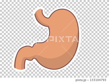 Simple stomach illustration 133104793