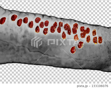 ゾンビの腕の透明なPNG、血のように赤い色調のグロテスクで不気味なイラスト - フルーツインスパイア 133106076