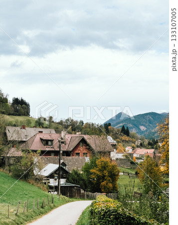 Narrow, winding road leads through rolling green hills and colorful autumn foliage towards charming village nestled amidst majestic Slovenian Alps, creating serene and idyllic scene. Alpine village 133107005