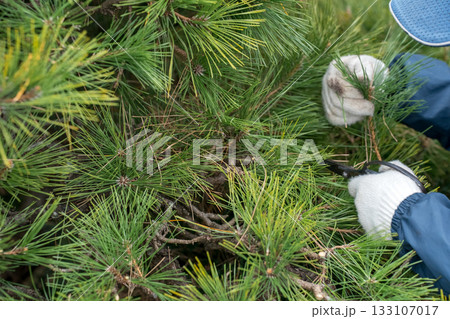 Japanese Gardener 133107017