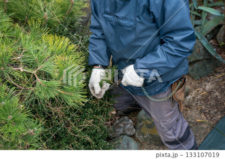 Japanese Gardener 133107019