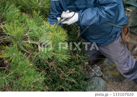 Japanese Gardener 133107020