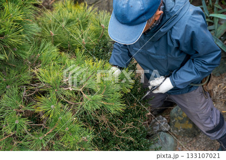 Japanese Gardener 133107021