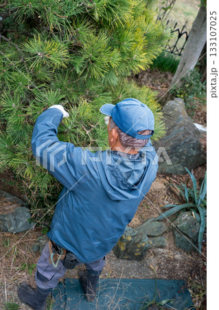 Japanese Gardener 133107025