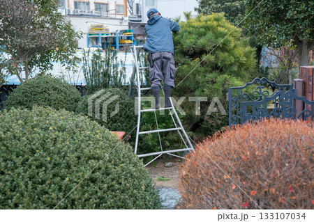 Japanese Gardener Japanese Gardener 133107034