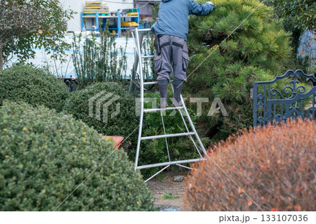 Japanese Gardener 133107036