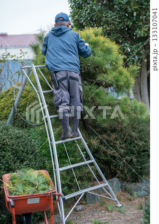 Japanese Gardener 133107041