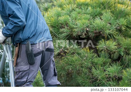 Japanese Gardener 133107044