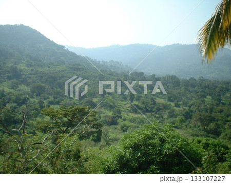 Tsito@ガーナ ☆mar_lapin Tsito@ガーナ ☆mar_lapin 133107227