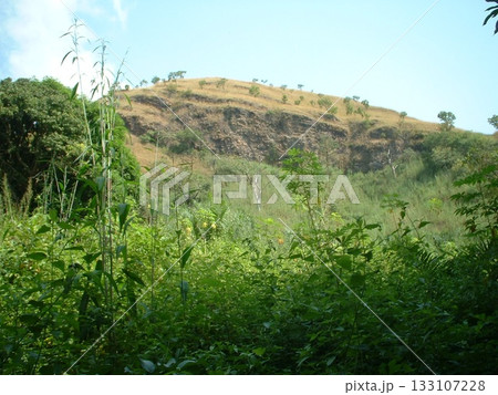 Tsito@ガーナ ☆mar_lapin Tsito@ガーナ ☆mar_lapin 133107228