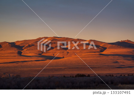 Golden Desert Dunes at Sunset Cast Warm Light Over Rolling Hills 133107491