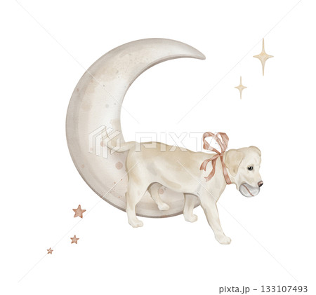Watercolor composition with character beige puppy dog isolated on background with moon and stars. Hand drawn illustration sketch Labrador runs with a ball in his teeth and a red bow around his neck Watercolor composition with character beige puppy dog isolated on background with moon and stars. Hand drawn illustration sketch Labrador runs with a ball in his teeth and a red bow around his neck 133107493