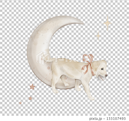 Watercolor composition with character beige puppy dog isolated on background with moon and stars. Hand drawn illustration sketch Labrador runs with a ball in his teeth and a red bow around his neck Watercolor composition with character beige puppy dog isolated on background with moon and stars. Hand drawn illustration sketch Labrador runs with a ball in his teeth and a red bow around his neck 133107493