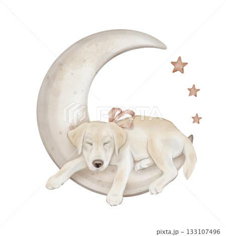 Composition with stars and character beige yellow puppy dog isolated on background. Hand drawn illustration sketch Labrador sleeping on a moon and a red bow around his neck. Composition with stars and character beige yellow puppy dog isolated on background. Hand drawn illustration sketch Labrador sleeping on a moon and a red bow around his neck. 133107496