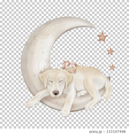 Composition with stars and character beige yellow puppy dog isolated on background. Hand drawn illustration sketch Labrador sleeping on a moon and a red bow around his neck. Composition with stars and character beige yellow puppy dog isolated on background. Hand drawn illustration sketch Labrador sleeping on a moon and a red bow around his neck. 133107496