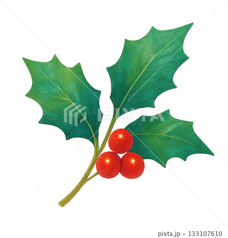 「ヒイラギと赤い実のイラスト・クリスマス装飾に使える水彩風の葉素材 「ヒイラギと赤い実のイラスト・クリスマス装飾に使える水彩風の葉素材 133107610