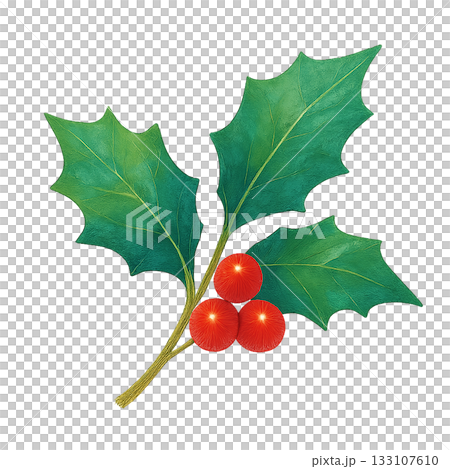 「ヒイラギと赤い実のイラスト・クリスマス装飾に使える水彩風の葉素材 「ヒイラギと赤い実のイラスト・クリスマス装飾に使える水彩風の葉素材 133107610